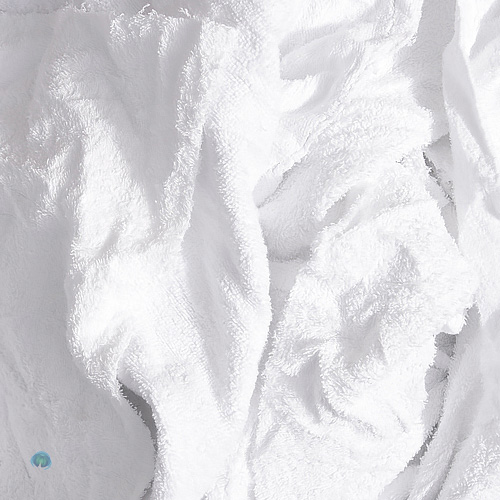 Algocel Textil. Trapo toalla blanca. Caja